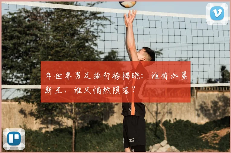 年世界男足排行榜揭晓：谁将加冕新王，谁又悄然陨落？