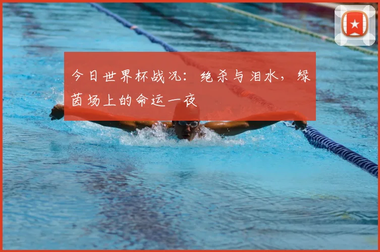 今日世界杯战况：绝杀与泪水，绿茵场上的命运一夜